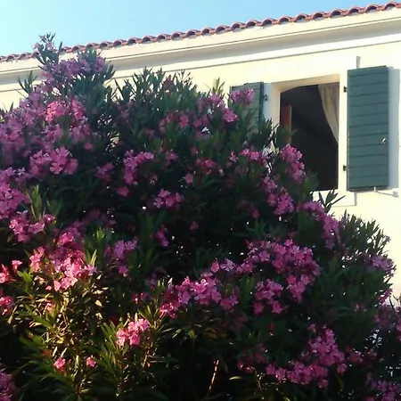 Holiday Home Lejlighed *