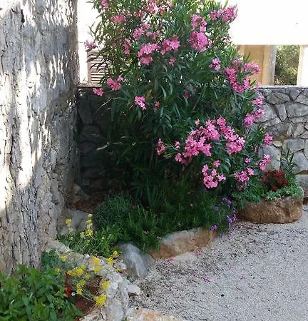 Lejlighed Holiday Home