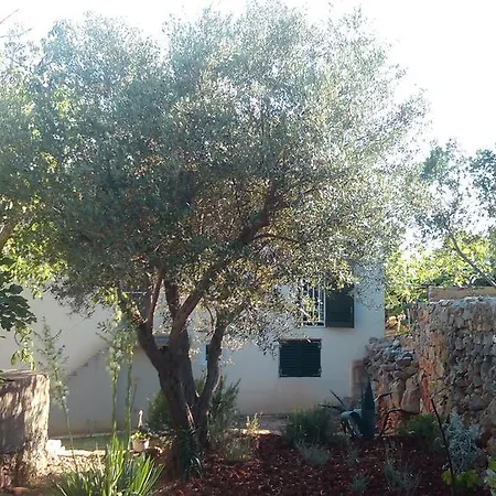 Holiday Home *