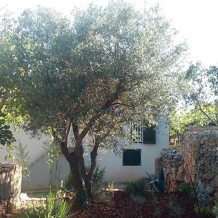 Holiday Home *