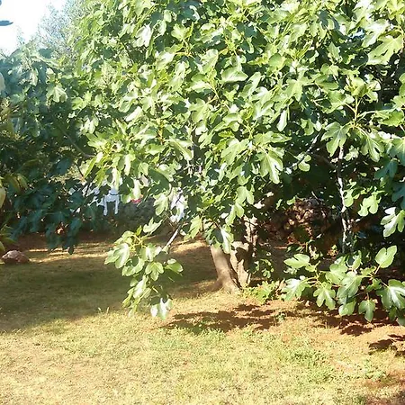 Holiday Home Appartamento Kornić